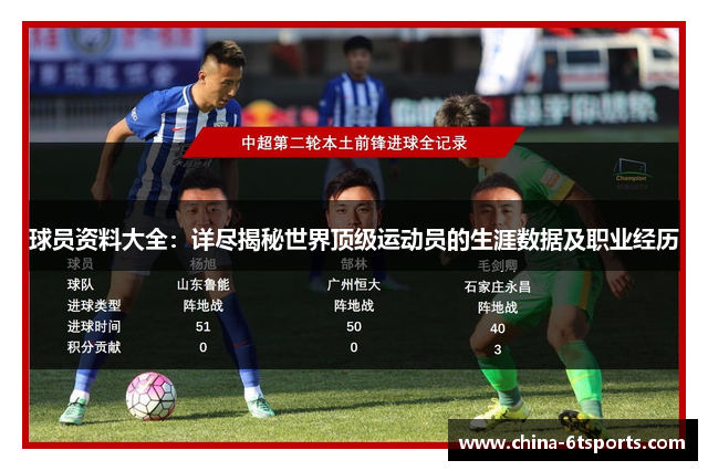 球员资料大全：详尽揭秘世界顶级运动员的生涯数据及职业经历