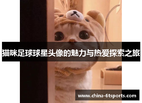 猫咪足球球星头像的魅力与热爱探索之旅